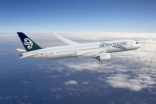 濟(jì)寧市機(jī)票加盟代理與航空票務(wù)服務(wù)全解析 價格、規(guī)格及軟件開發(fā)