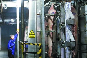 一刷標簽便知肉源，藥品零售追溯體系的新啟示