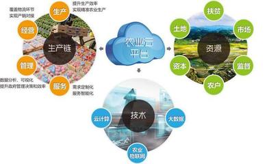 他山之石可以攻玉 借鑒美國農(nóng)業(yè)信息化經(jīng)驗(yàn)，以信息技術(shù)咨詢服務(wù)升級中國農(nóng)民